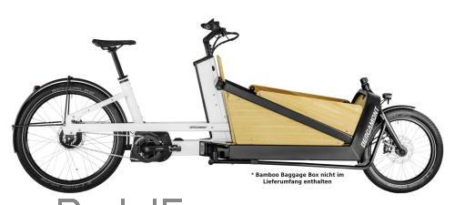 Bergamont E-Cargoville LJ Expert ficha tecnica